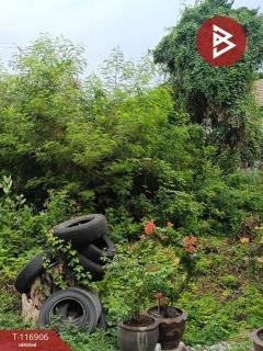 ขายที่ดิน เนื้อที่ 48 ตร.วา ท่าระหัด สุพรรณบุรี-202507221549481753174188060.jpg
