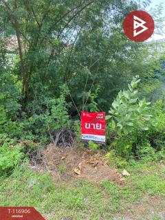 ขายที่ดิน เนื้อที่ 48 ตร.วา ท่าระหัด สุพรรณบุรี-202507221549511753174191348.jpg