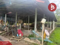  ขายที่ดิน เนื้อที่ 1 ไร่ 1 งาน 45 ตร.วา สารภี เชียงใหม่-202507221608181753175298550.jpg