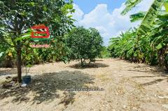 ขาย/เช่า ที่ดินเปล่า เลี่ยงเมืองปากเกร็ด 41 เนื้อที่ 149 ตร.ว (ใกล้โรงเรียนชลประทานวิทยา) ตำบลบางตลาด อำเภอปากเกร็ด จังหวัดนนทบุรี-202507221615341753175734037.jpg