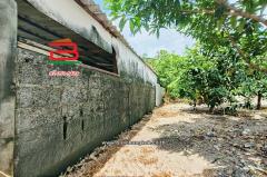 ขาย/เช่า ที่ดินเปล่า เลี่ยงเมืองปากเกร็ด 41 เนื้อที่ 149 ตร.ว (ใกล้โรงเรียนชลประทานวิทยา) ตำบลบางตลาด อำเภอปากเกร็ด จังหวัดนนทบุรี-202507221615341753175734542.jpg