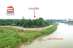 ที่ดินเปล่า ติดแม่น้ำเจ้าพระยา ถนนบ้านน้ำวน เนื้อที่ 3-0-92.6 ไร่ ถนนทางหลวงหมายเลข 3501 อ.ป่าโมก จ.อ่างทอง-202507221715241753179324426.jpg