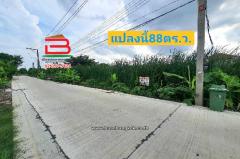 ที่ดินเปล่า พุทธมณฑลสาย 4 เนื้อที่ 88 ตร.ว (ระหว่างทางเชื่อมพุทธมณฑลสาย 4 กับคลองทวีวัฒนา) ตำบลบางพรม อำเภอตลิ่งชัน กรุงเทพมหานคร-202507221716081753179368459.jpg