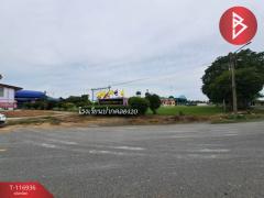 ขายที่ดิน เนื้อที่ 1 ไร่ 55 ตร.วา บางน้ำเปรี้ยว ฉะเชิงเทรา-202507221717451753179465488.jpg