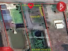 ขายที่ดิน เนื้อที่ 1 ไร่ 55 ตร.วา บางน้ำเปรี้ยว ฉะเชิงเทรา-202507221717461753179466552.jpg
