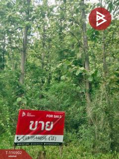 ขายที่ดิน เนื้อที่ 1 งาน 25 ตร.วา ตาคลี นครสวรรค์-202507221726001753179960847.jpg