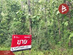 ขายที่ดิน เนื้อที่ 1 งาน 25 ตร.วา ตาคลี นครสวรรค์-202507221726021753179962244.jpg
