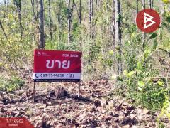 ขายที่ดิน เนื้อที่ 1 งาน 25 ตร.วา ตาคลี นครสวรรค์-202507221726031753179963984.jpg