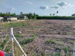 ขายที่ดินหนองบอนแดง ชลบุรี เหมาะทำโรงงาน โกดัง คลังสินค้า ติดถนนใหญ่ TP-L1494