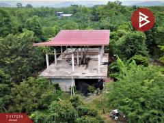 ขายที่ดินพร้อมสิ่งปลูกสร้าง เนื้อที่ 17 ไร่ 3 งาน 57 ตร.วา สอยดาว จันทบุรี-202507231003571753239837644.jpg