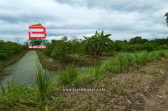 ที่ดินเปล่า หนองเสือ-คลอง 13 ซอยเกตุสิงห์ คลอง 13 เนื้อที่ 9 ไร่ ใกล้หมู่บ้านแสนสุข ถนนสาย ปท.3034 ตำบลหนองสามวัง อำเภอหนองสือ จังหวัดปทุมธานี-202507231012011753240321176.jpg