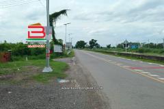 ที่ดินเปล่า หนองเสือ-คลอง 13 ซอยเกตุสิงห์ คลอง 13 เนื้อที่ 9 ไร่ ใกล้หมู่บ้านแสนสุข ถนนสาย ปท.3034 ตำบลหนองสามวัง อำเภอหนองสือ จังหวัดปทุมธานี-202507231012021753240322866.jpg