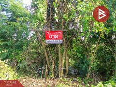 ขายที่ดิน-เนื้อที่-1-งาน-ลำลูกกา-ปทุม