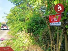 ขายที่ดิน เนื้อที่ 1 งาน ลำลูกกา ปทุมธานี-202507231159021753246742066.jpg