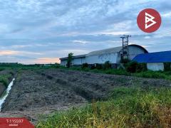 ขายที่ดิน เนื้อที่ 20 ไร่ 80 ตร.วา ชัยมงคล สมุทรสาคร-202507231213161753247596717.jpg