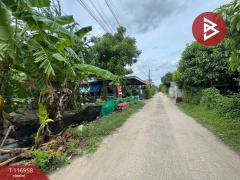 ขายที่ดิน เนื้อที่ 50 ตร.วา ลำลูกกา ปทุมธานี-202507231415051753254905394.jpg
