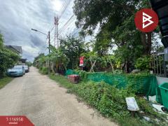 ขายที่ดิน เนื้อที่ 50 ตร.วา ลำลูกกา ปทุมธานี-202507231415061753254906828.jpg