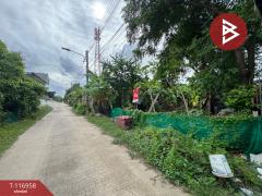 ขายที่ดิน เนื้อที่ 50 ตร.วา ลำลูกกา ปทุมธานี-202507231415071753254907640.jpg