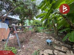 ขายที่ดิน เนื้อที่ 50 ตร.วา ลำลูกกา ปทุมธานี-202507231415101753254910213.jpg