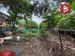 ขายที่ดิน เนื้อที่ 50 ตร.วา ลำลูกกา ปทุมธานี-202507231415111753254911345.jpg