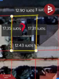 ขายที่ดิน เนื้อที่ 50 ตร.วา ลำลูกกา ปทุมธานี-202507231415111753254911910.jpg