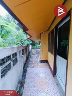ขาย/เช่า บ้านเดี่ยว เนื้อที่ 131 ตารางวา สตึก บุรีรัมย์-202507231502191753257739013.jpg