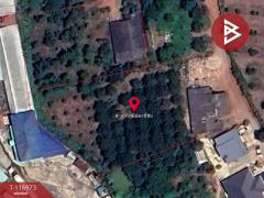 ขายบ้านเดี่ยวพร้อมสวนผลไม้ เนื้อที่ 1 ไร่ 2 งาน 67 ตร.วา แสลง จันทบุรี-202507231516431753258603236.jpg
