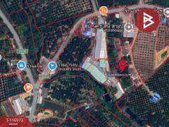ขายบ้านเดี่ยวพร้อมสวนผลไม้ เนื้อที่ 1 ไร่ 2 งาน 67 ตร.วา แสลง จันทบุรี-202507231516431753258603779.jpg