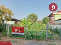 ขายที่ดิน เนื้อที่ 50 ตร.วา อุทัยใหม่ อุทัยธานี-202507231551511753260711694.jpg