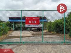 ขายที่ดินพร้อมสิ่งปลูกสร้าง เนื้อที่ 3 งาน 41 ตร.วา ชมพู ลำปาง-202507231558411753261121781.jpg