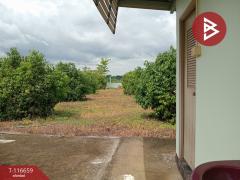 ขายที่ดินพร้อมสิ่งปลูกสร้าง เนื้อที่ 3 งาน 41 ตร.วา ชมพู ลำปาง-202507231558431753261123983.jpg
