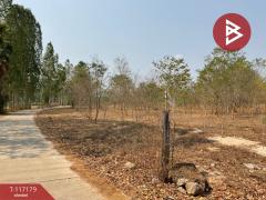 ขายที่ดิน เนื้อที่ 8 ไร่ 77 ตร.วา หนองขาหย่าง อุทัยธานี-202507231606341753261594517.jpg