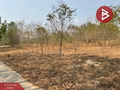 ขายที่ดิน เนื้อที่ 8 ไร่ 77 ตร.วา หนองขาหย่าง อุทัยธานี-202507231606361753261596230.jpg