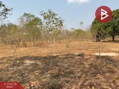 ขายที่ดิน เนื้อที่ 8 ไร่ 77 ตร.วา หนองขาหย่าง อุทัยธานี-202507231606361753261596799.jpg
