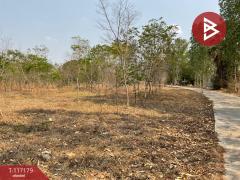 ขายที่ดิน เนื้อที่ 8 ไร่ 77 ตร.วา หนองขาหย่าง อุทัยธานี-202507231606391753261599302.jpg