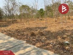 ขายที่ดิน เนื้อที่ 8 ไร่ 77 ตร.วา หนองขาหย่าง อุทัยธานี-202507231606401753261600674.jpg
