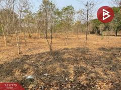 ขายที่ดิน เนื้อที่ 8 ไร่ 77 ตร.วา หนองขาหย่าง อุทัยธานี-202507231606411753261601245.jpg