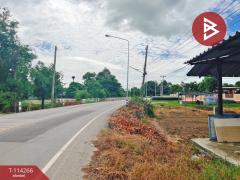 ขายบ้านเดี่ยว เนื้อที่ 1 ไร่ ติดถนน ต.หนองหญ้าไซ อ.หนองหญ้าไซ จ.สุพรรณบุรี ราคาถูก-202507231626271753262787832.jpg