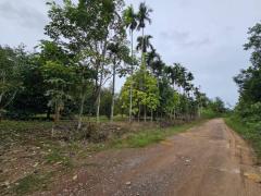 ขายสวนผลไม้ สวนผสม  อำเภอท่าใหม่  จันทบุรี