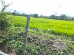 ที่ดินพร้อมสิ่งปลูกสร้าง ต.คลองโยง อ.พุทธมณฑล จ.นครปฐม-202507240904421753322682837.jpg