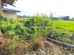 ที่ดินพร้อมสิ่งปลูกสร้าง ต.คลองโยง อ.พุทธมณฑล จ.นครปฐม-202507240904461753322686079.jpg