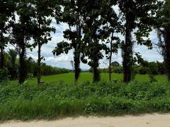 ขายที่ดิน ริมกก อ.เมือง เชียงราย วิวสวย ขายถูก -202507241044511753328691774.jpg
