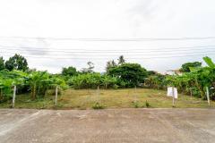 ขายที่ดิน ทำเลทอง ใจกลางคูเมืองเชียงใหม่ พร้อมรถไฟฟ้าในอนาคต-202507241142181753332138872.jpg