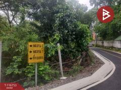 ขายที่ดิน เนื้อที่ 2 ไร่ 3 งาน 4 ตร.วา บางไผ่ นนทบุรี-202507241206371753333597357.jpg
