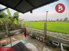 ขายบ้านเดี่ยว เนื้อที่ 1 งาน พุทธมณฑล นครปฐม-202507241214511753334091302.jpg