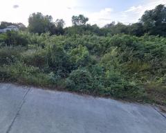 ที่ดินผังสีเขียว 6-1-31.7 ไร่ ใกล้ถนนมิตรภาพ – นครราชสีมา-202507241338201753339100335.jpg