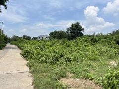 ที่ดินผังสีเขียว 6-1-31.7 ไร่ ใกล้ถนนมิตรภาพ – นครราชสีมา-202507241338221753339102461.jpg