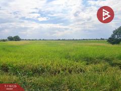 ขายที่ดิน เนื้อที่ 24 ไร่ 3 งาน 85 ตร.วา บางคล้า ฉะเชิงเทรา-202507241445091753343109772.jpg