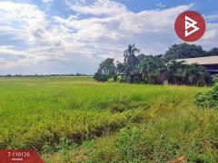 ขายที่ดิน เนื้อที่ 24 ไร่ 3 งาน 85 ตร.วา บางคล้า ฉะเชิงเทรา-202507241445101753343110838.jpg