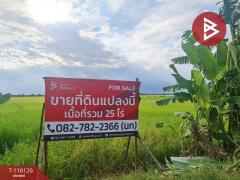 ขายที่ดิน เนื้อที่ 24 ไร่ 3 งาน 85 ตร.วา บางคล้า ฉะเชิงเทรา-202507241445111753343111384.jpg